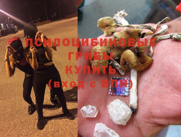 соль курить ск Медвежьегорск