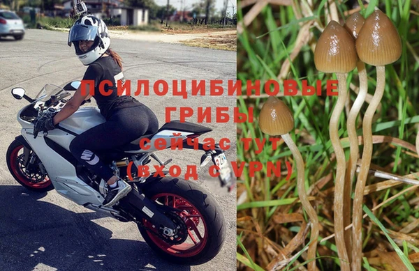 синтетический гашиш Медногорск